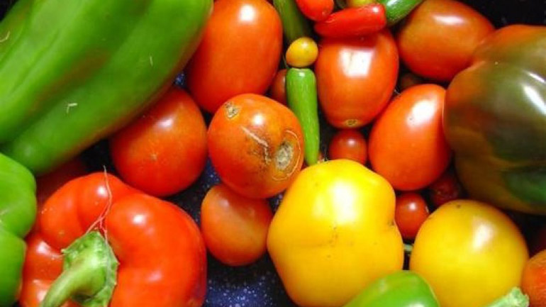 Βιολογικά Τρόφιμα