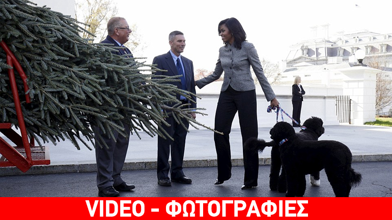 Με κάρο έφτασε το χριστουγεννιάτικο δέντρο στον Λευκό Οίκο