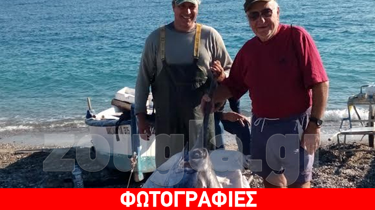 Ψάρεψαν ξιφία 100 κιλών στη Συκιά Κορινθίας