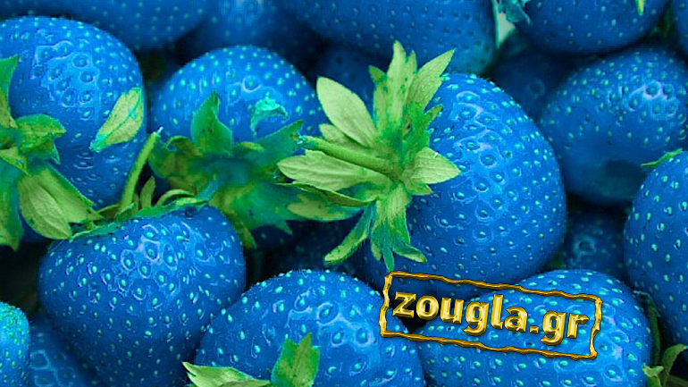 Τα πικρά… γλυκά του Παπαμιμίκου