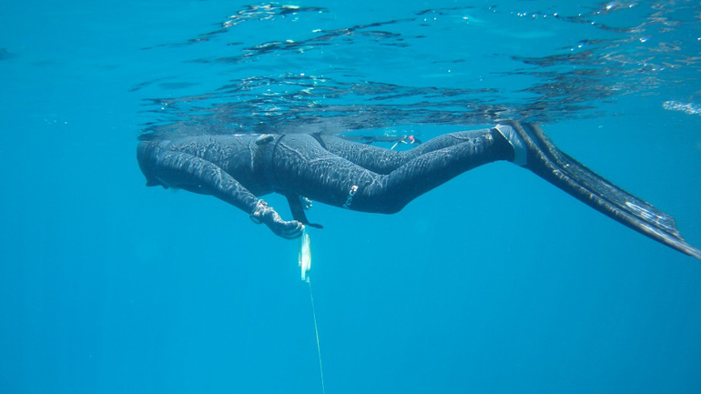 Σεμινάριο με θέμα τις βασικές τεχνικές υποβρυχίου κυνηγιού
