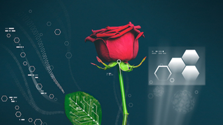 Τα πρώτα… ηλεκτρονικά τριαντάφυλλα έχουν «άρωμα ελληνικό»