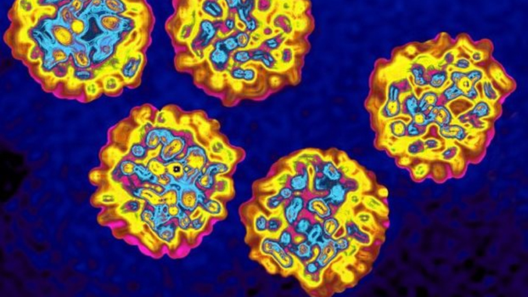 Θεραπεία-εξπρές της ηπατίτιδας C μέσα σε μόνο τρεις εβδομάδες