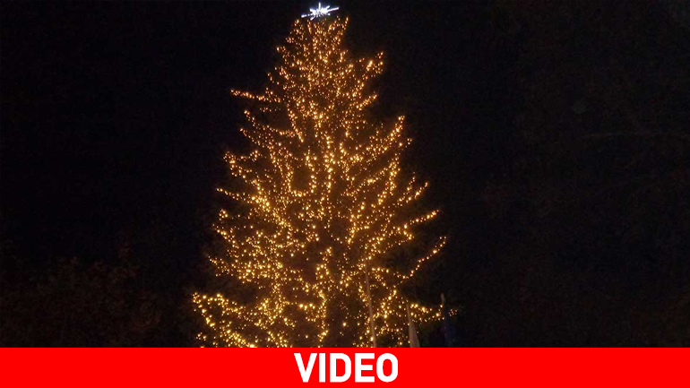 Tρίκαλα: Φωταγωγήθηκε το ψηλότερο φυσικό χριστουγεννιάτικο δέντρο της Ελλάδας
