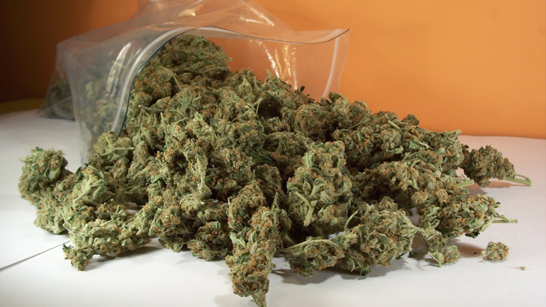 Σύλληψη 41χρονου για κάνναβη στα Χανιά