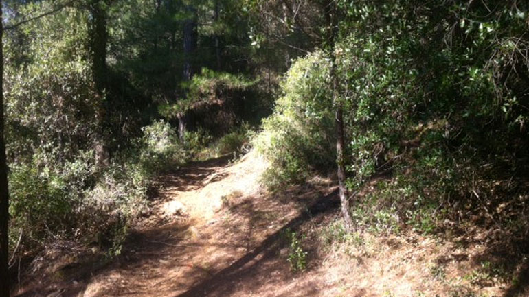 Αγρίνιο: Βρέθηκε η σορός της 25χρονης αγνοούμενης