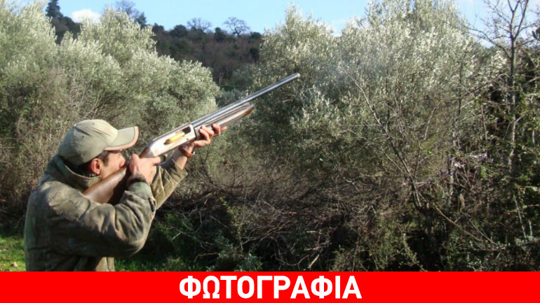 Ξάνθη: Σκότωσαν κυνηγετικούς σκύλους με φόλες