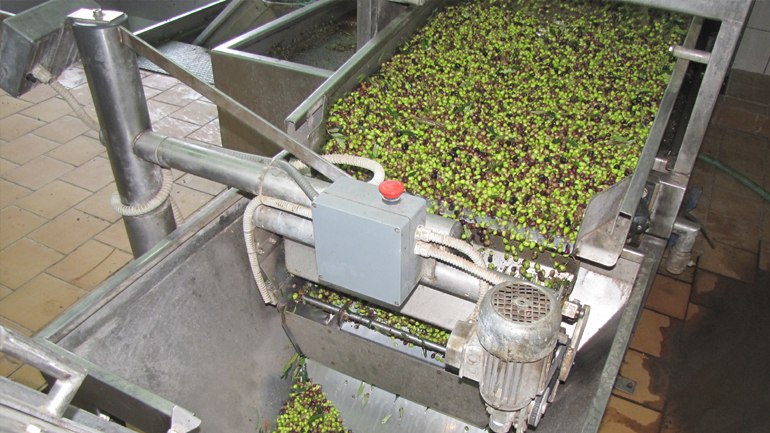 Χανιά: Νεκρός 55χρονος που έπεσε σε δεξαμενή ελαιολάδου