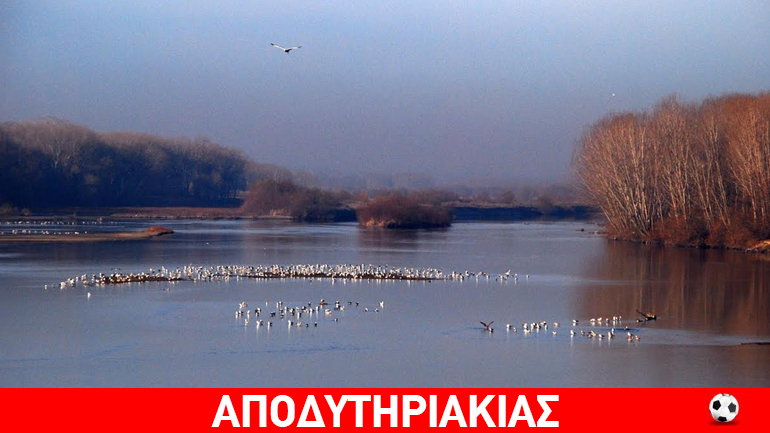 Οικογενειακή επιχείρηση μεταφοράς μεταναστών