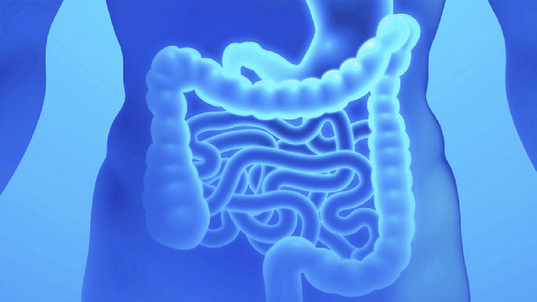 Ενημερωθείτε για τη νόσο του Crohn και την ελκώδη κολίτιδα