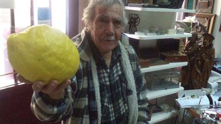 Λεμόνι 1.150 Kg στη Χίο