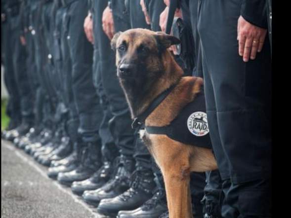 Η Ντίζελ που έχασε τη ζωή της στη μάχη κατά των τζιχαντιστών