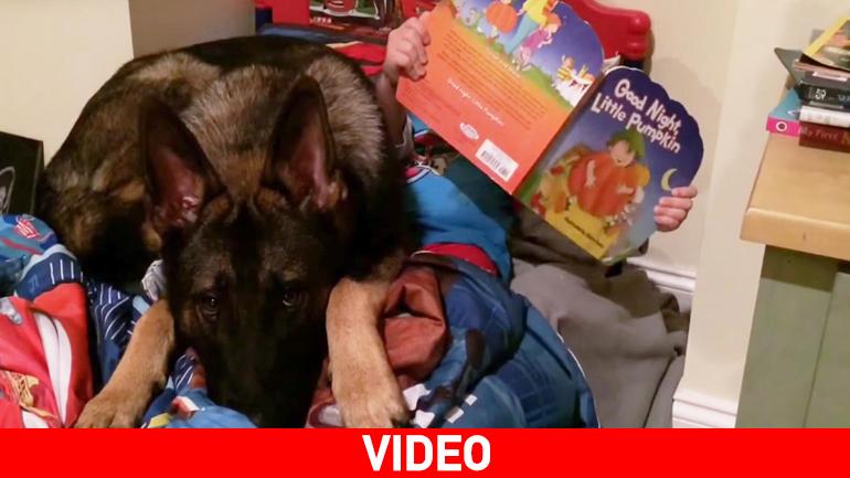 Μια καληνύχτα με τον καλύτερο φίλο του ανθρώπου