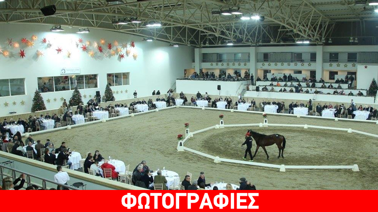 Κάλπασε η δημοπρασία καθαρόαιμων στο Μαρκόπουλο