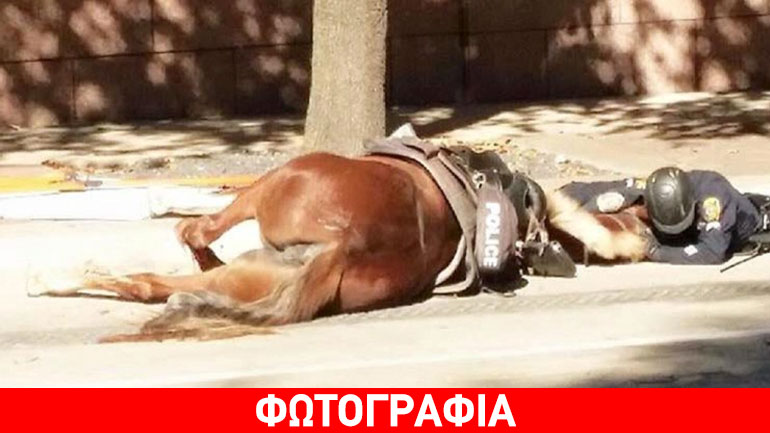Αστυνομικός σπαράζει δίπλα στο άλογό του που ξεψυχά…