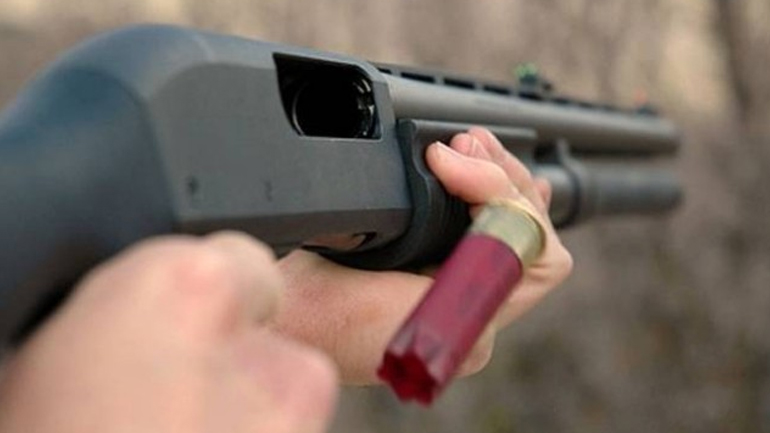 Πήλιο: Καταδικάστηκε για κακοποίηση ζώων