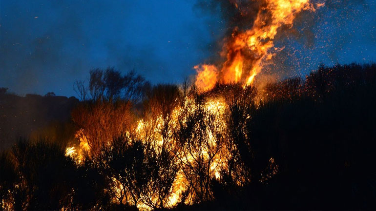 Χίος: Ξέσπασε πυρκαγιά σε δασική περιοχή