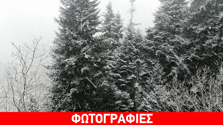 Xιόνια σε Λίμνη Πλαστήρα, Πήλιο, Περτούλι και Ελάτη