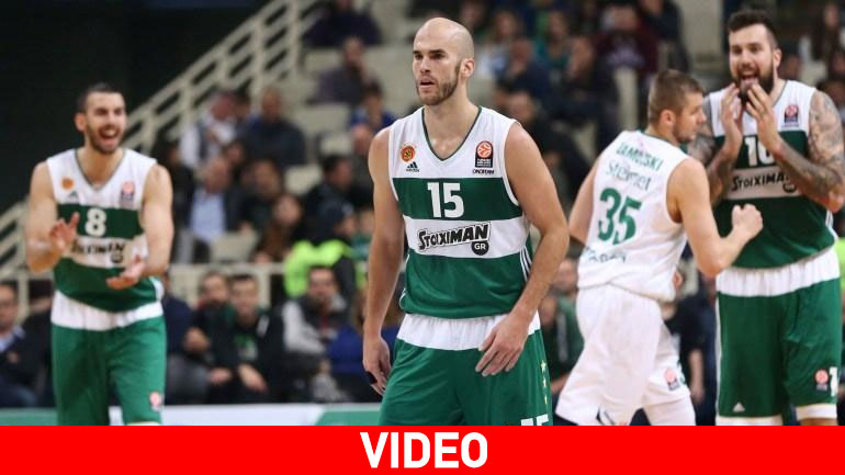 Τα highlights της νίκης του Παναθηναϊκού επί της Ζιέλονα