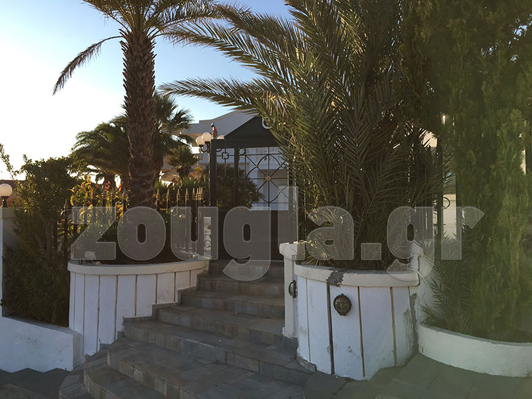 Φοίνικες κοσμούν τον προαύλιο χώρο