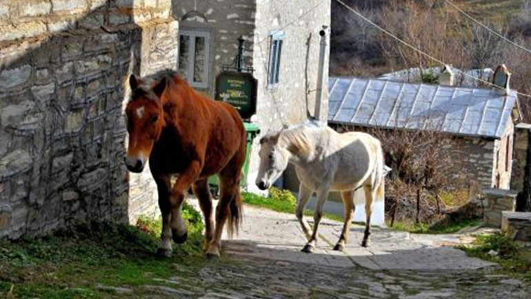 Ηλικιωμένος έπεσε από το άλογο και έχασε τη ζωή του