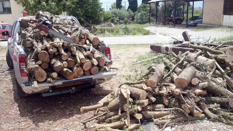 Αμφιλοχία: Λαθροϋλοτόμος επιτέθηκε σε δασοφύλακα στην αυλή του σπιτιού του