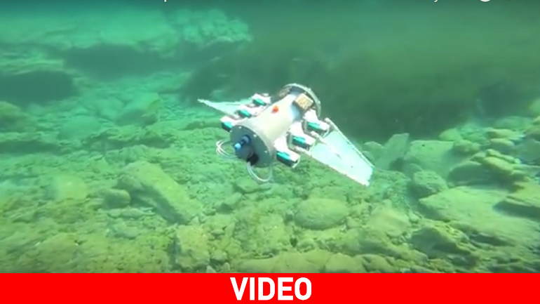 Διεθνής διάκριση για υποβρύχιο ρομπότ με την «υπογραφή» του ΤΕΙ Κρήτης