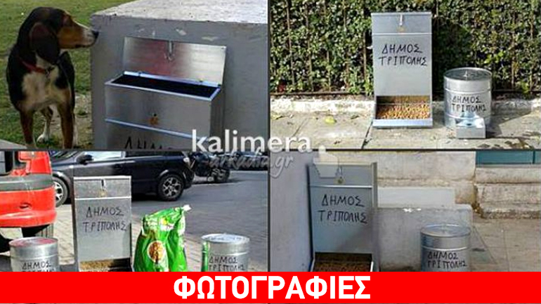 Τρίπολη: Στη θέση τους οι πρώτες ταΐστρες για τα αδέσποτα