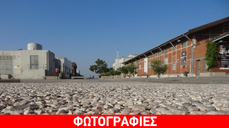 Ταινιοθήκη Θεσσαλονίκης: «Ο κόκκινος δράκος βρυχάται»