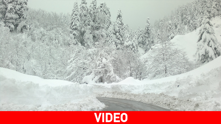 Στα λευκά Περτούλι-Ελάτη