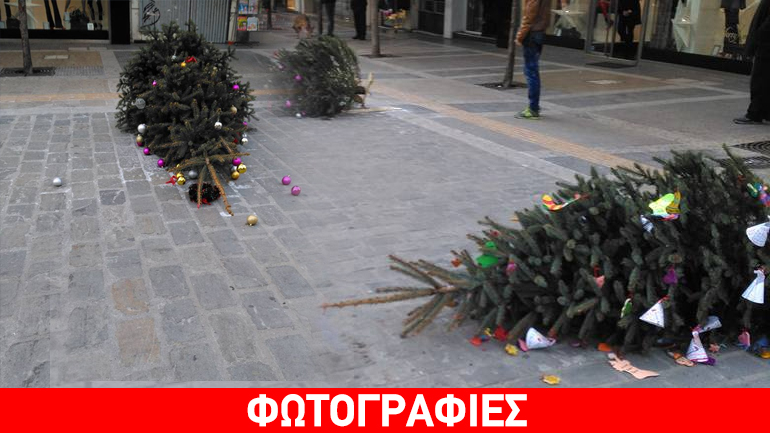 Σέρρες: Ξήλωσαν και πέταξαν κάτω δεκάδες χριστουγεννιάτικα δέντρα