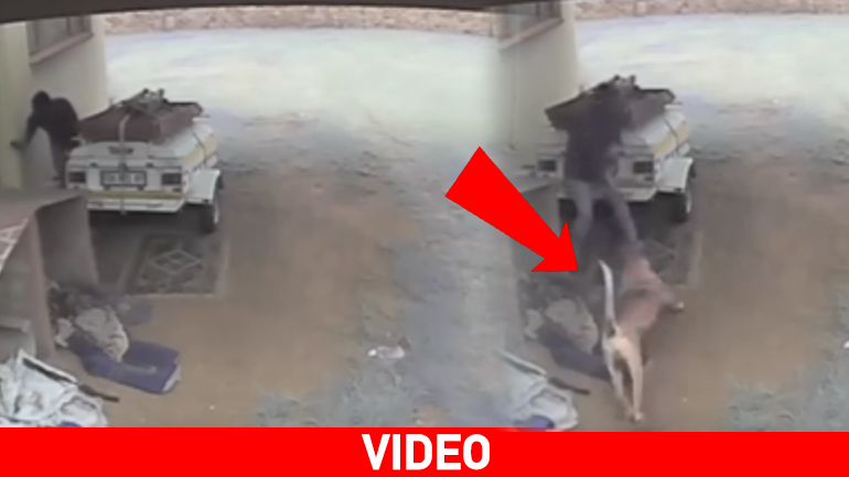 Ο… χειρότερος φίλος του διαρρήκτη!