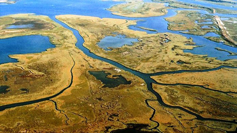 Έβρος: Επιστημονική διημερίδα με θέμα «Ένα Μέλλον για το Δέλτα»