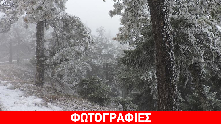Τσουχτερό κρύο και χιόνια στην Πάρνηθα