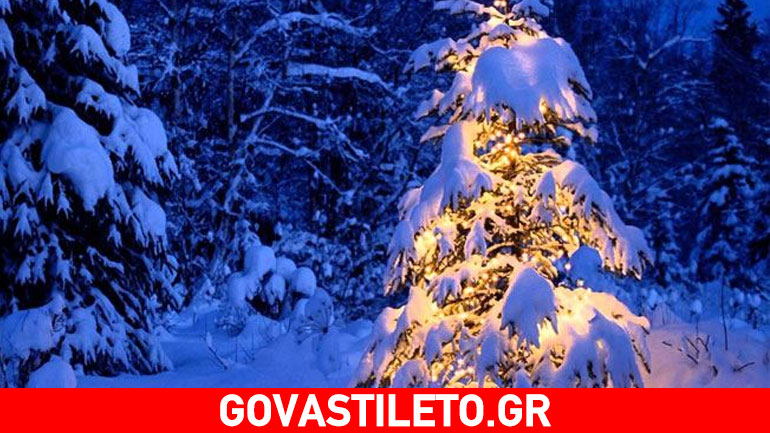 Σημαντικά πράγματα που δεν γνωρίζετε για τα Χριστουγεννιάτικα δέντρα
