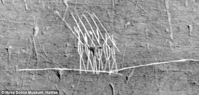 Πετρογλυφικά των ιθαγενών που πιστεύεται ότι απεικονίζουν Ρωμαίους στρατιώτες... Διακρίνονται τα ακόντιά τους και οι ασπίδες τους...