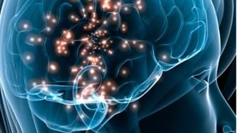 Ανακαλύφθηκαν δύο γονιδιακά δίκτυα νοημοσύνης στον εγκέφαλο