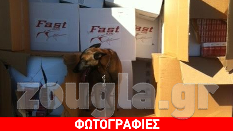 Ο «Diablo» του ΣΔΟΕ μύρισε λαθραία τσιγάρα αξίας 5 εκατ. ευρώ