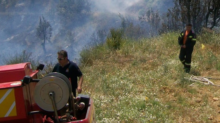 Πυρκαγιά σε χορτολιβαδική έκταση στους Φούρνους