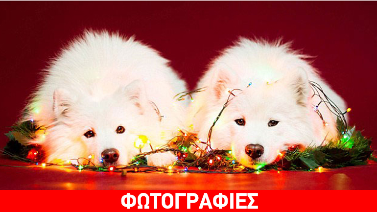 Χριστουγεννιάτικες πόζες!