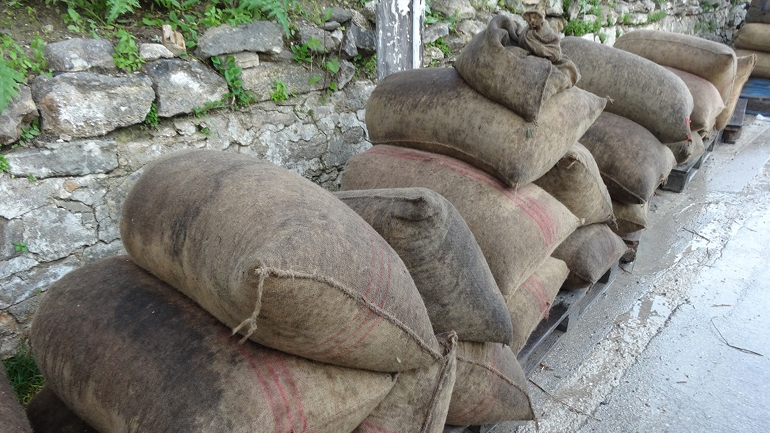 Αιτωλοακαρνανία – Αλυζία: Αλλεπάλληλα κρούσματα κλοπής ελαιοκάρπου