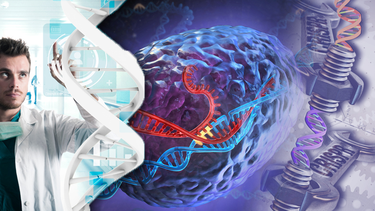 Όταν οι επιστήμονες έχουν κέφια…