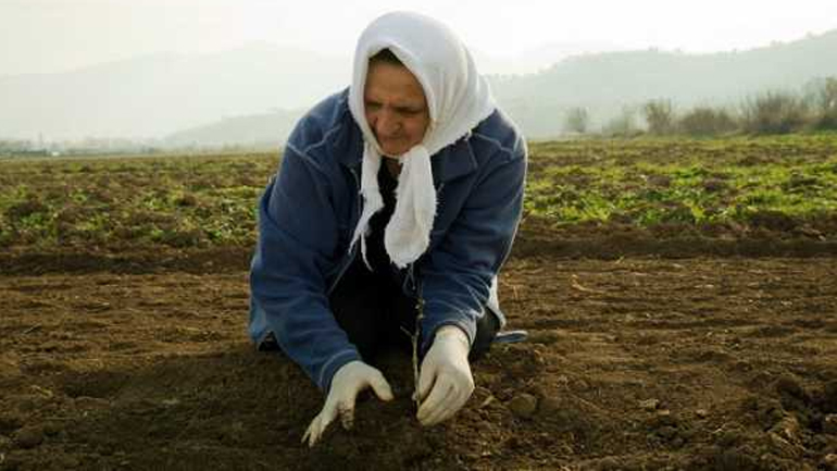 Την Τρίτη το βοήθημα των 1.000 ευρώ σε πολύτεκνες αγρότισσες του ΟΓΑ