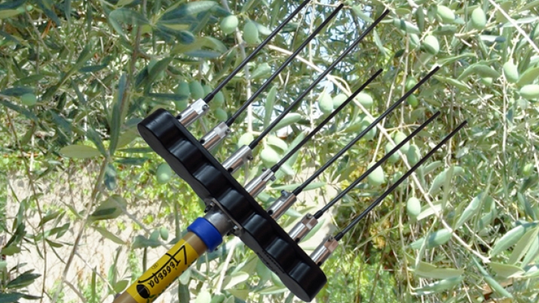 Ηλεία: Του έκλεψαν τα σύνεργα της συγκομιδής στο λιοστάσι