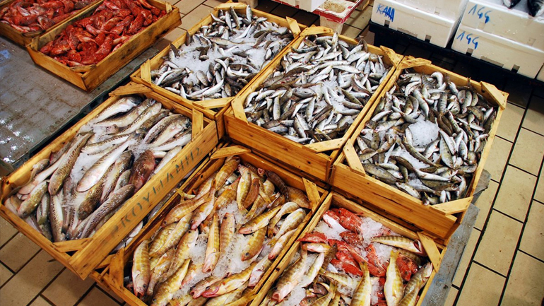 Πάτρα: Σε ευαγή ιδρύματα 154 κιλά… ορφανά ψάρια