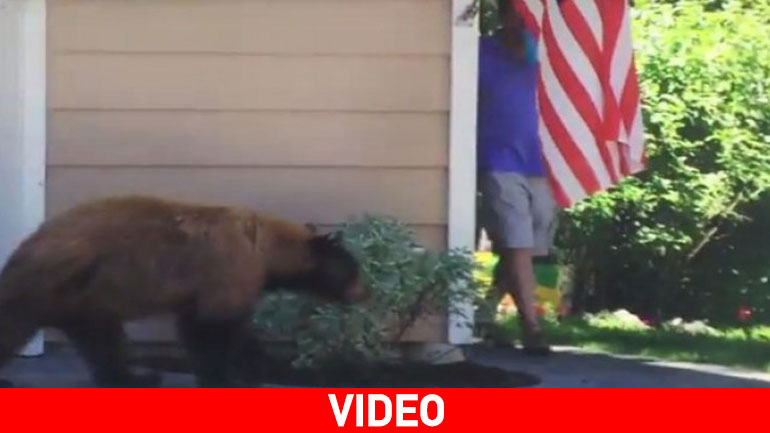 Φοβάται ο Γιάννης το θεριό, και το θεριό το Γιάννη