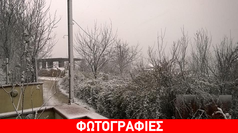 Χιονίζει στη Χαλκιδική