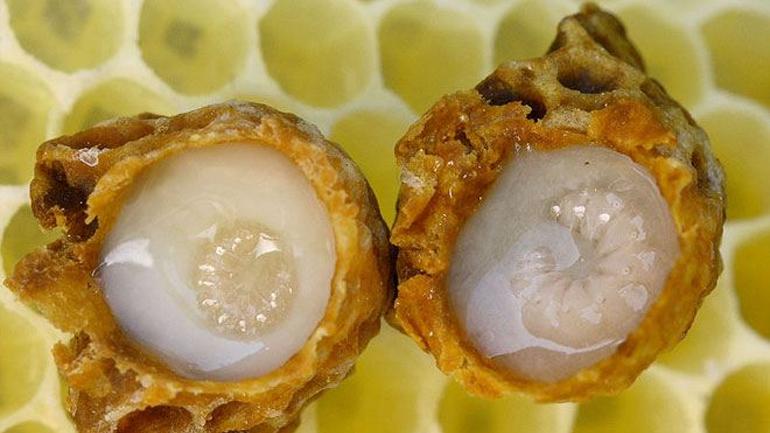 Βασιλικός πολτός: Ένα διατροφικό θαύμα της φύσης