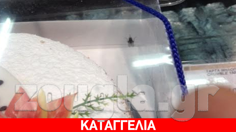 Mε κάθε βασιλόπιτα δώρο η… μύγα!