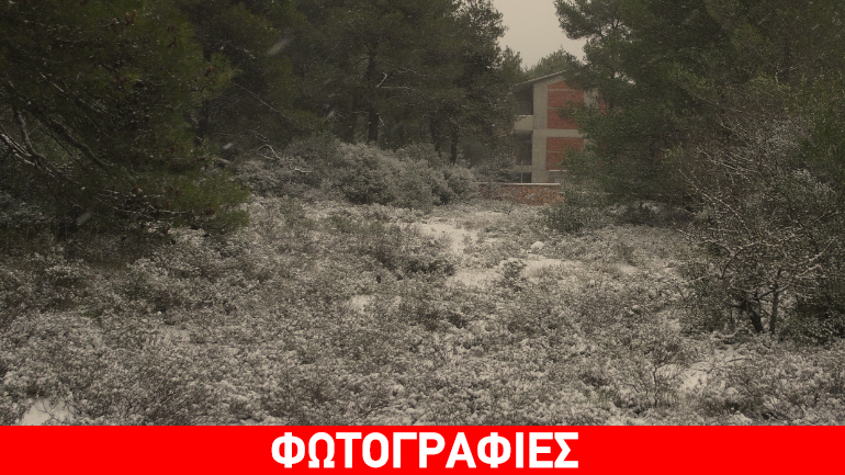 Στα λευκά η Ιπποκράτειος Πολιτεία